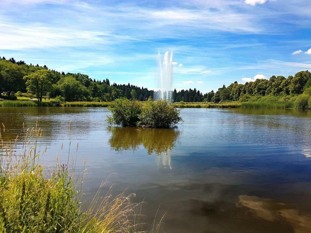 Ferienappartement Balbiani Hahnenklee-Harz Goslar Luaran gambar